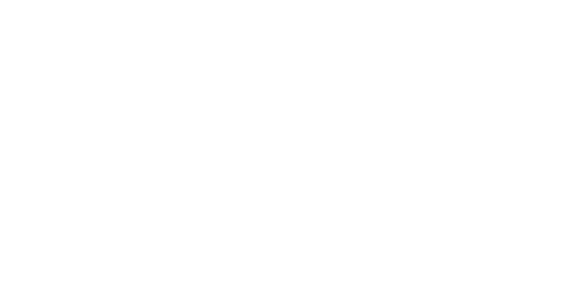 Evoluziona Seguridad Logo